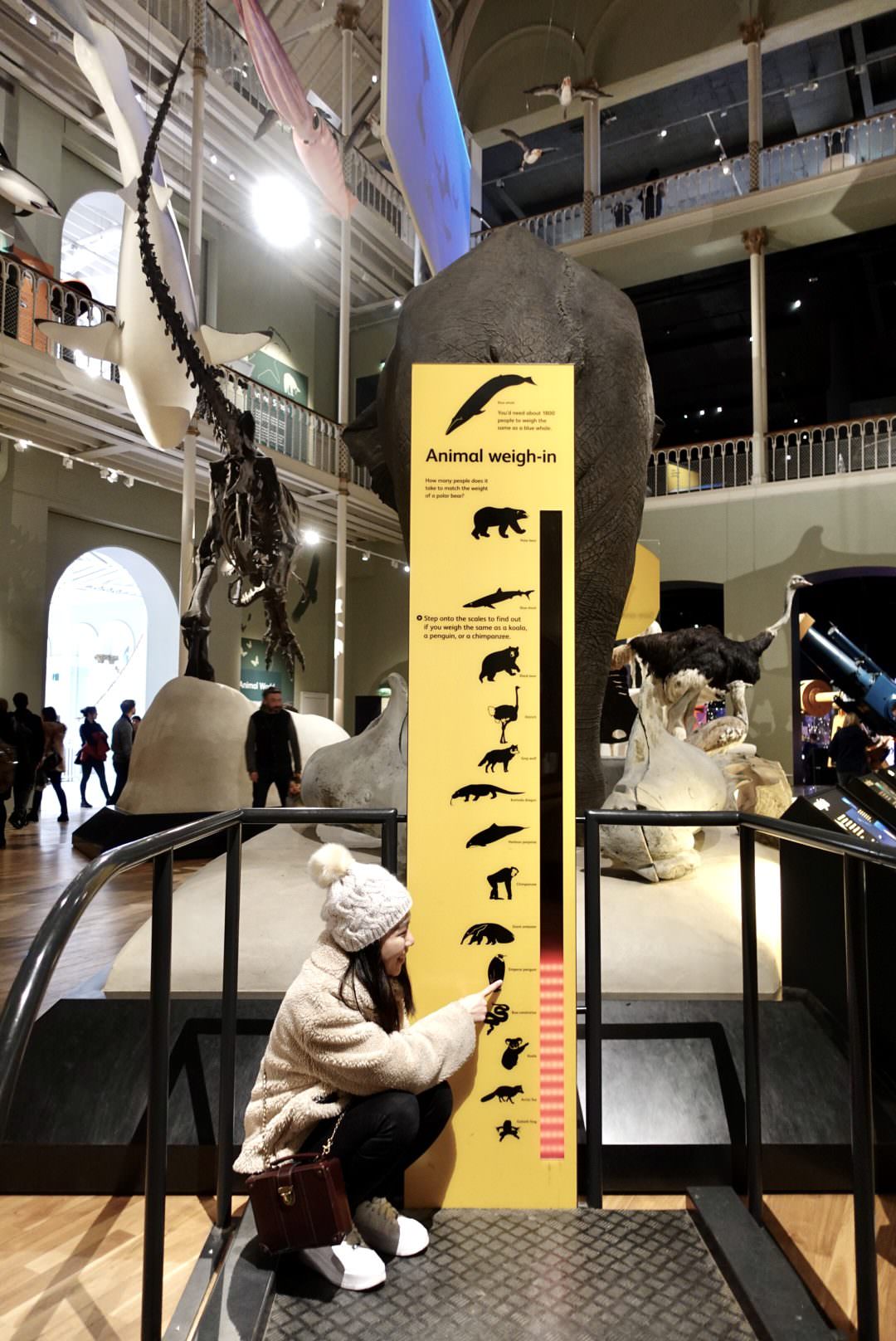 2025英國愛丁堡舊城區旅遊景點,漫步在鬼魅傳說與中古建築物的街道。 - 第16張圖