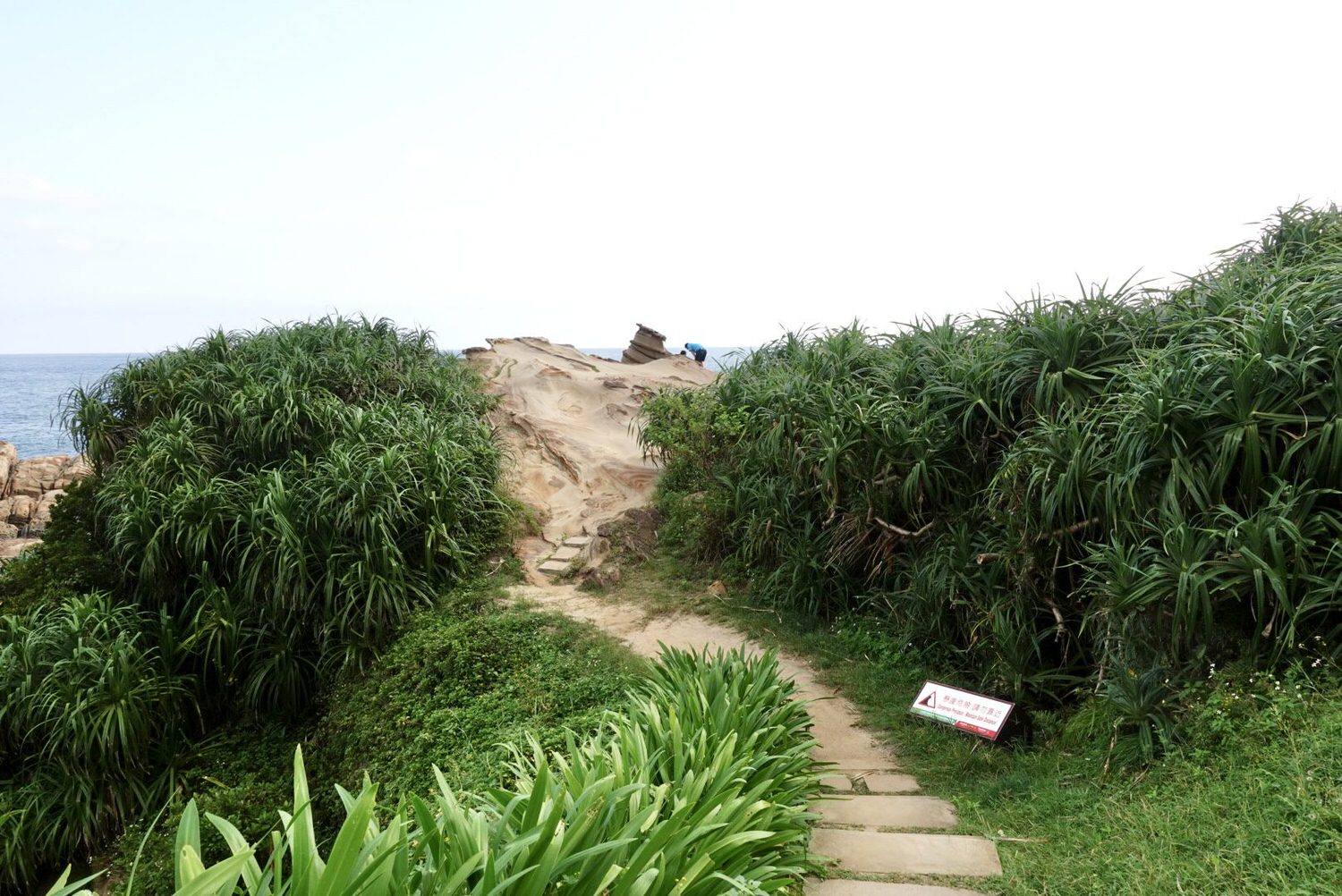 新北景點|東北角瑞芳濱海公路超美秘境「南雅奇岩」,海蝕風化造型巨石。 - 第5張圖
