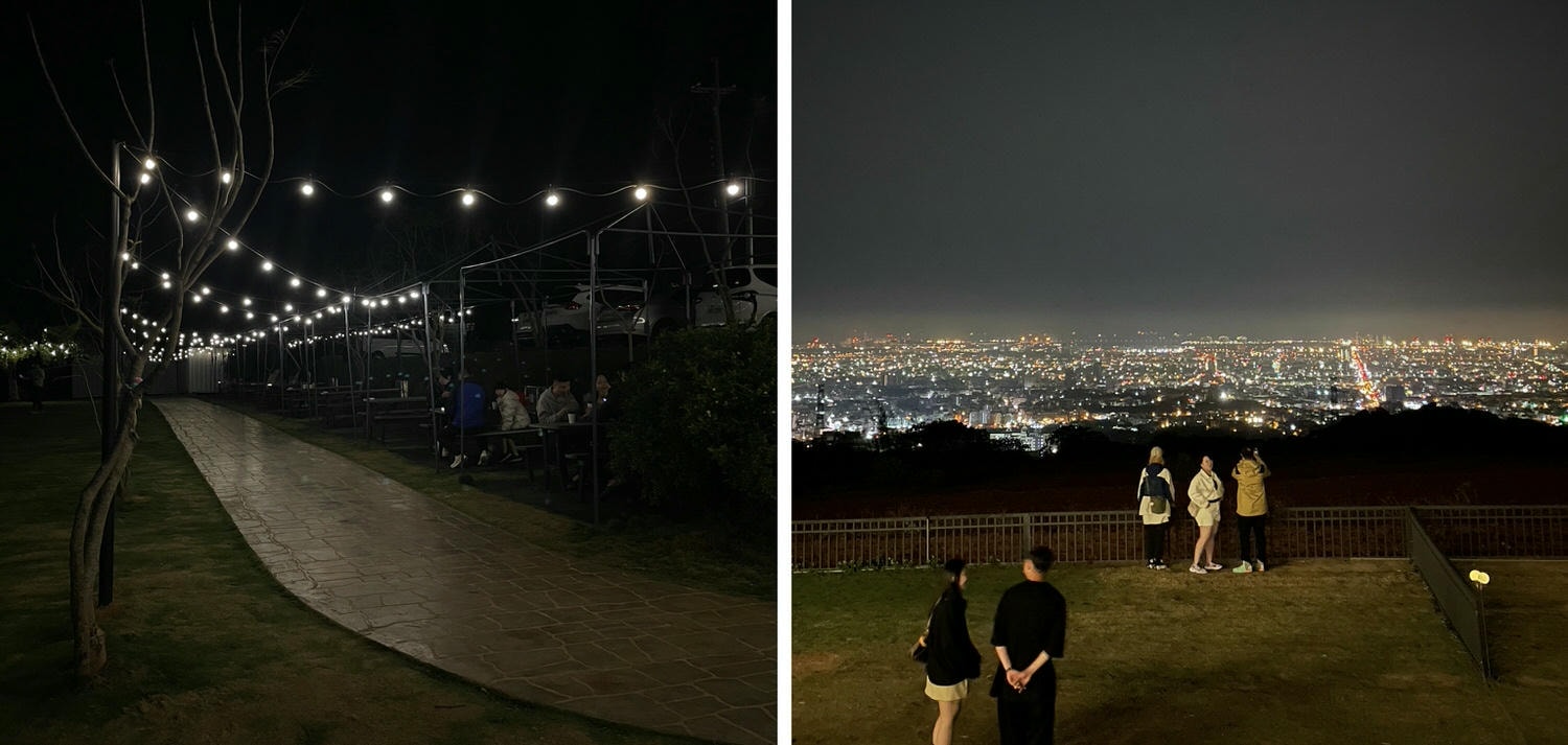 台中美食|台中夜景寵物餐廳「鹿雅森林景觀餐廳」近距離接觸薩摩耶與哈士奇。 - 第7張圖