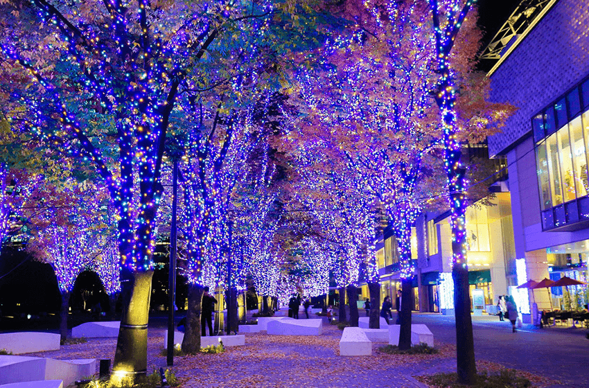橫濱冬季限定｜聖誕節點燈活動