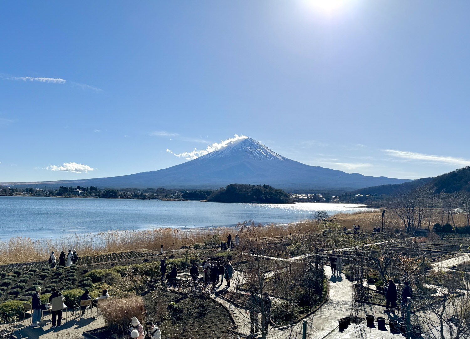 富士山河口湖大石公園