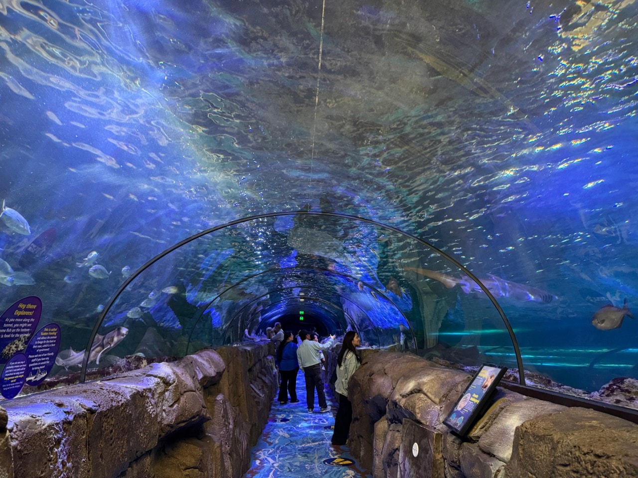 雪梨海洋生物水族館