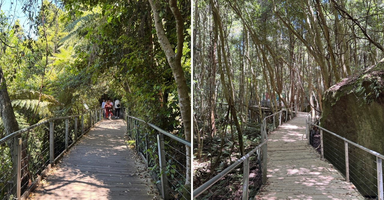 藍山國家公園 Blue Mountains