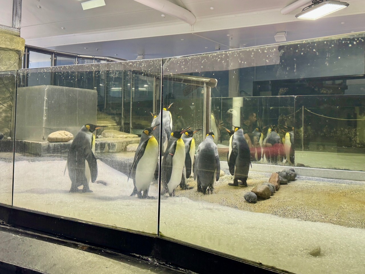 雪梨海洋生物水族館