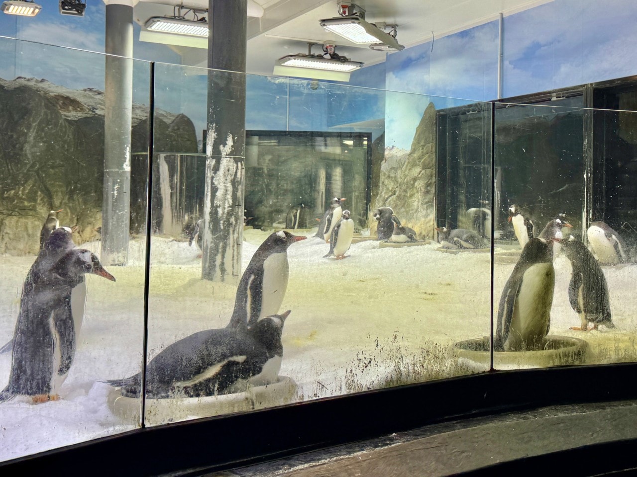 雪梨海洋生物水族館