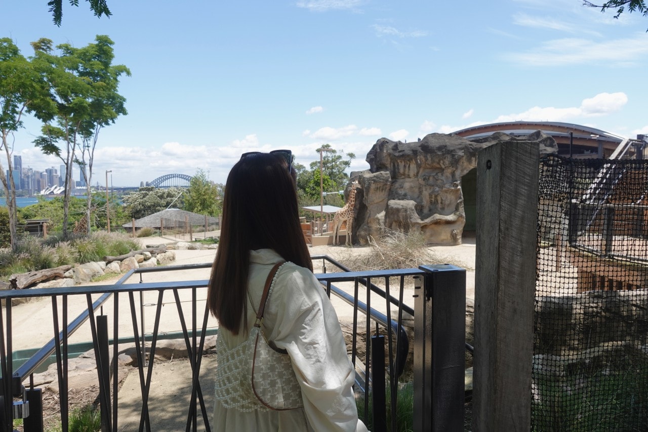 雪梨塔龍加動物園