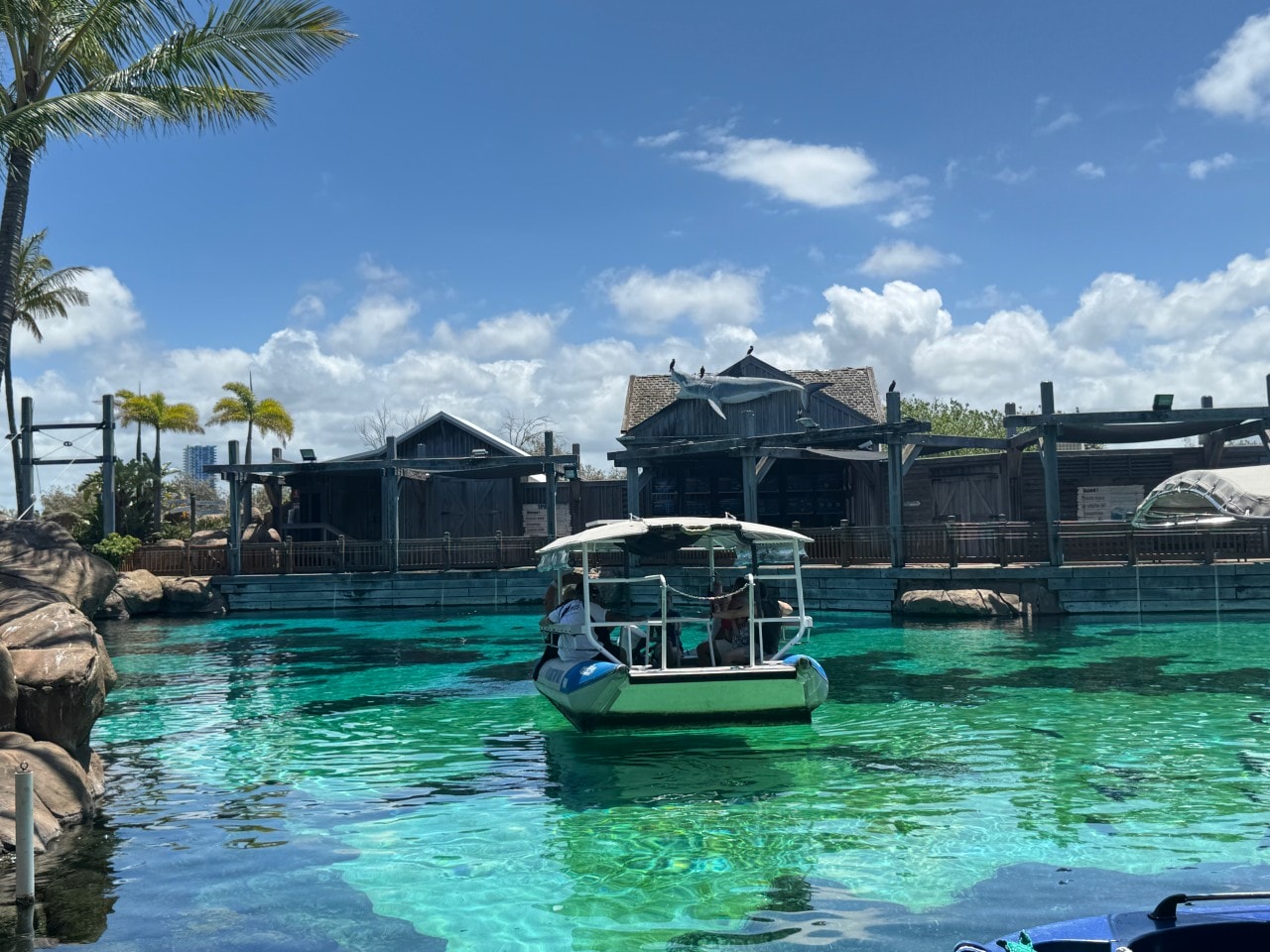 黃金海岸｜海洋世界樂園Sea World