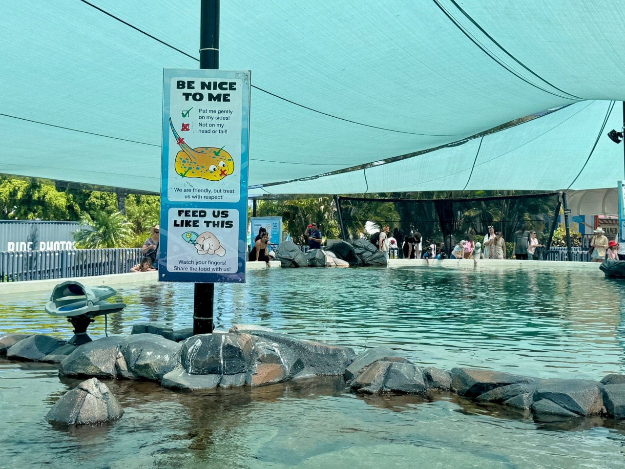 黃金海岸｜海洋世界樂園Sea World