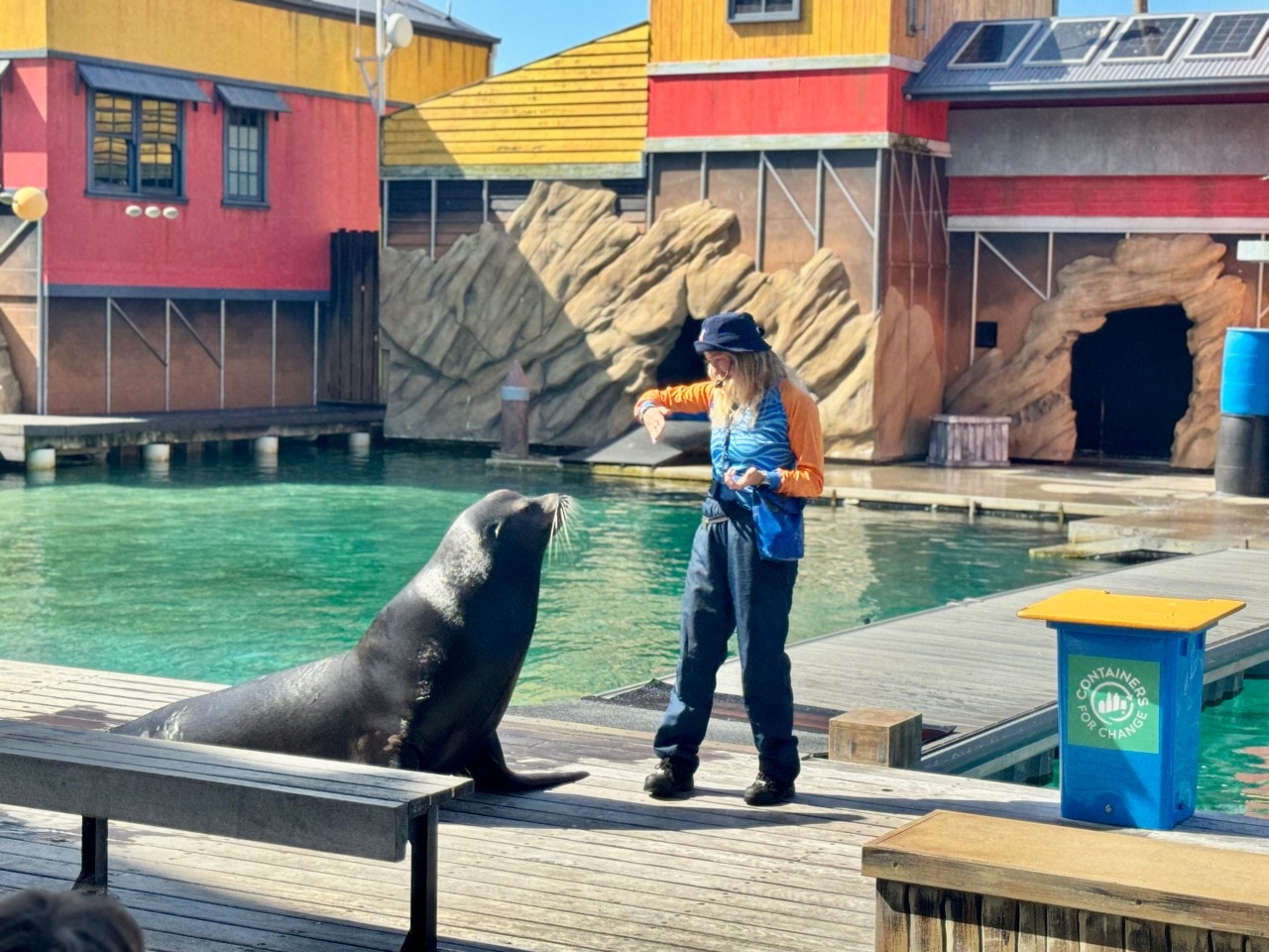 黃金海岸｜海洋世界樂園Sea World