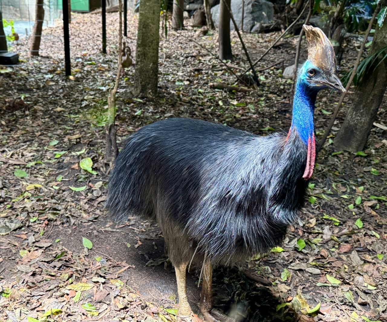 雪梨野生動物園
