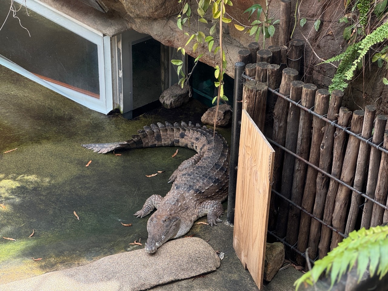 雪梨野生動物園