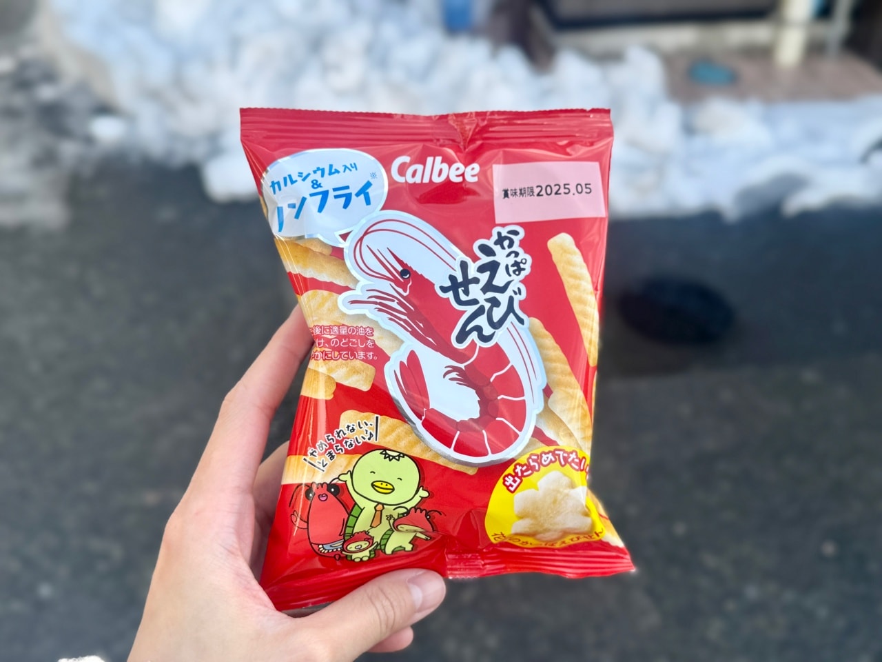 伊根灣遊船