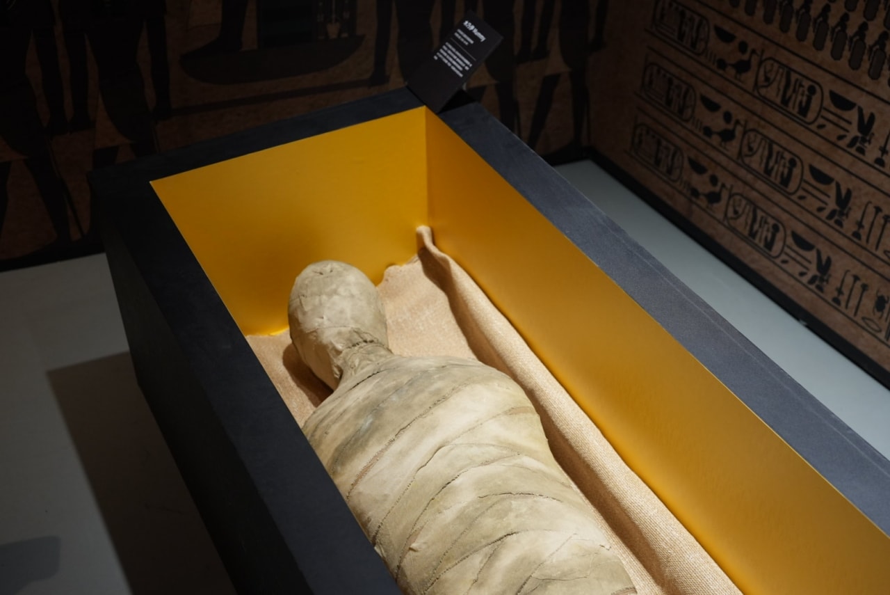 【2026台北華山必逛展覽】世界古文明沉浸體驗展:一場橫跨千年文明的時空漫遊!展區亮點、門票資訊、逛展心得全攻略! - 第14張圖 《世界古文明 沉浸體驗展》亞述文明展區